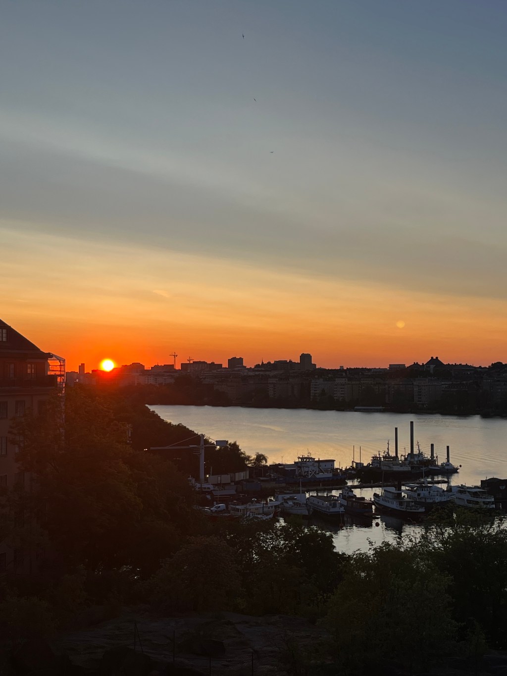 Reflections on Cruising Utopia: The Then and There of Queer Futurity by José Esteban&nbsp;Muñoz