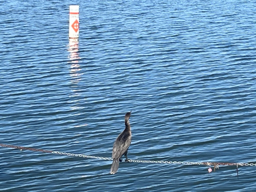 What the Water&nbsp;Keeps