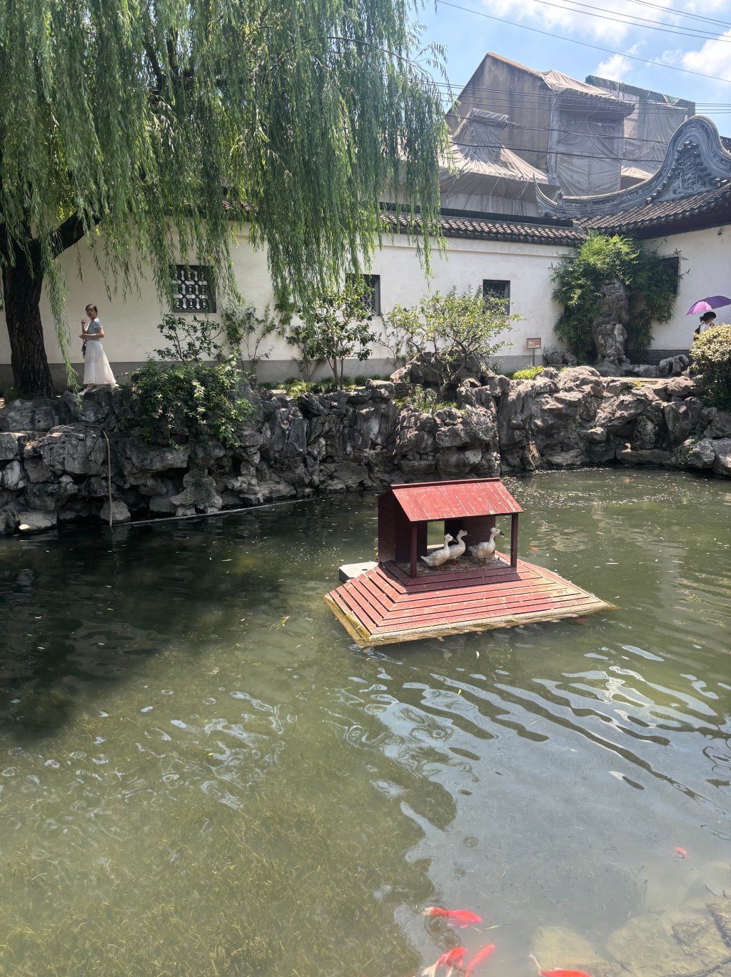 What does placenta taste like?